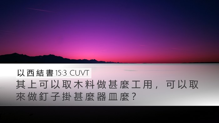 以 西 結 書 15:3 CUVT Bible Verse Image