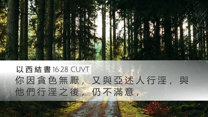 以 西 結 書 16:28 CUVT Bible Verse Image
