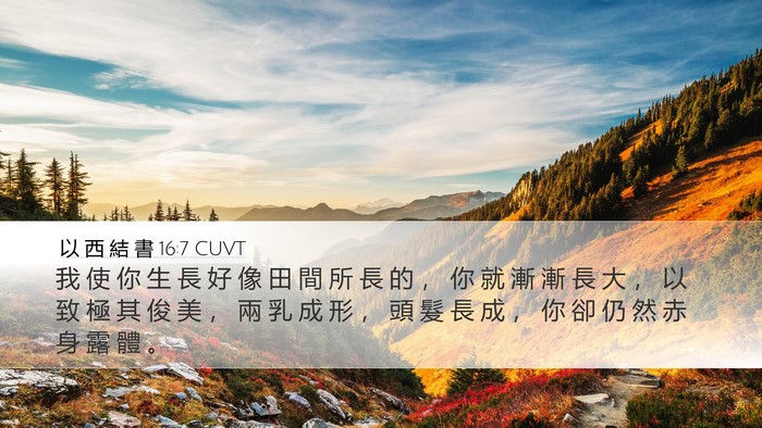 以 西 結 書 16:7 CUVT Bible Verse Image