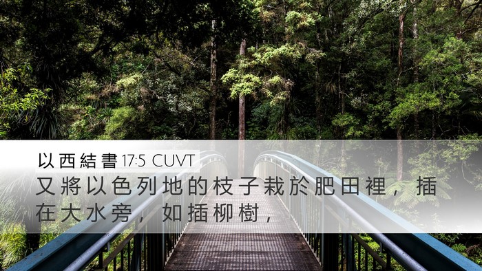以 西 結 書 17:5 CUVT Bible Verse Image