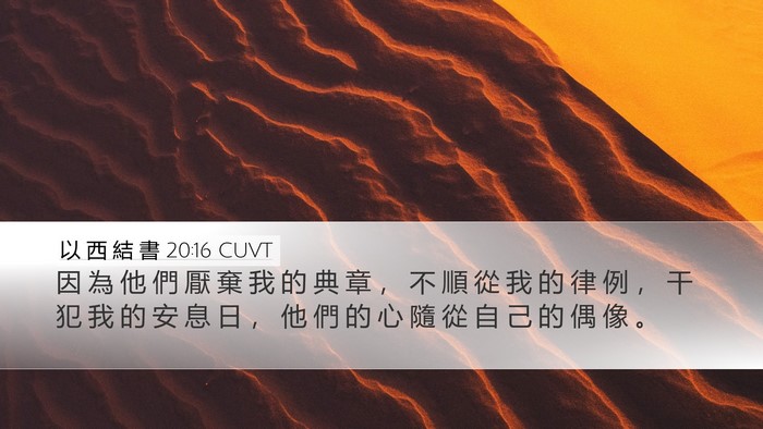 以 西 結 書 20:16 CUVT Bible Verse Image