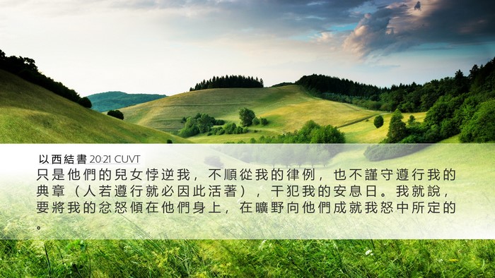 以 西 結 書 20:21 CUVT Bible Verse Image