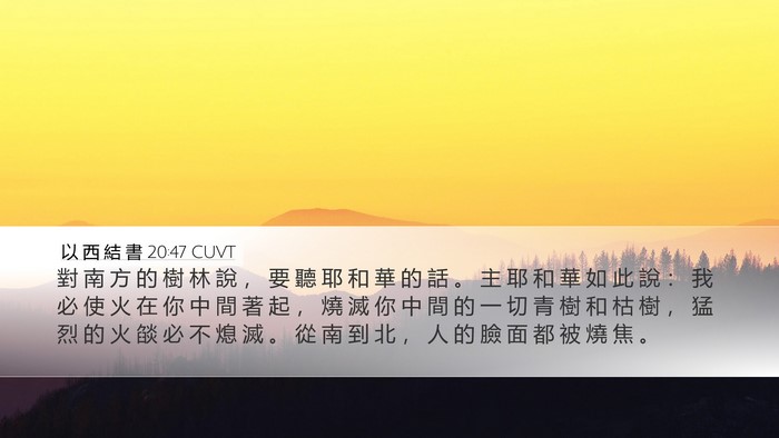 以 西 結 書 20:47 CUVT Bible Verse Image