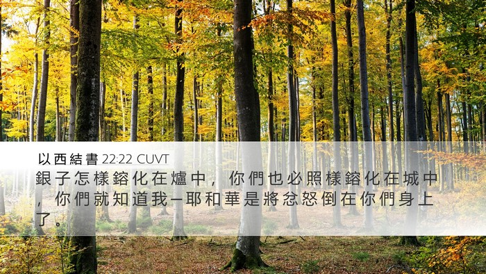 以 西 結 書 22:22 CUVT Bible Verse Image