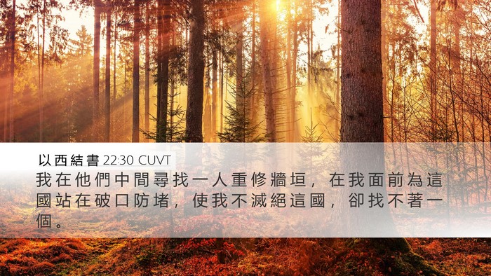 以 西 結 書 22:30 CUVT Bible Verse Image