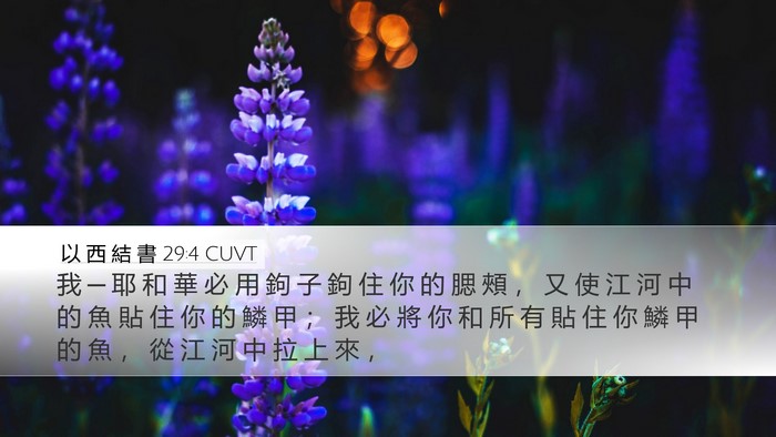 以 西 結 書 29:4 CUVT Bible Verse Image