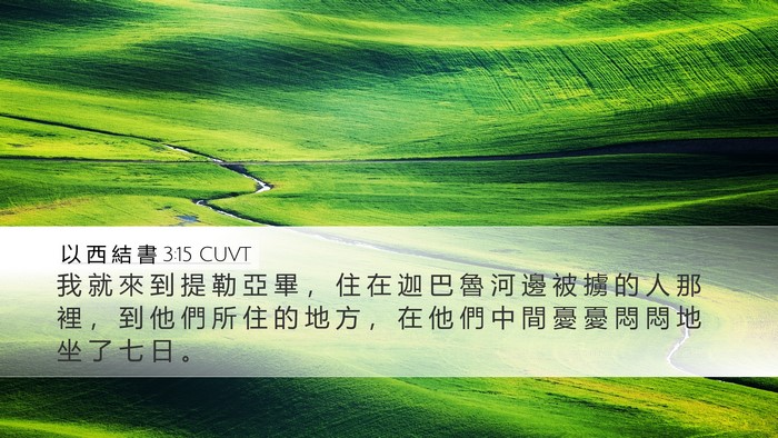 以 西 結 書 3:15 CUVT Bible Verse Image