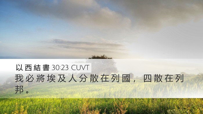 以 西 結 書 30:23 CUVT Bible Verse Image