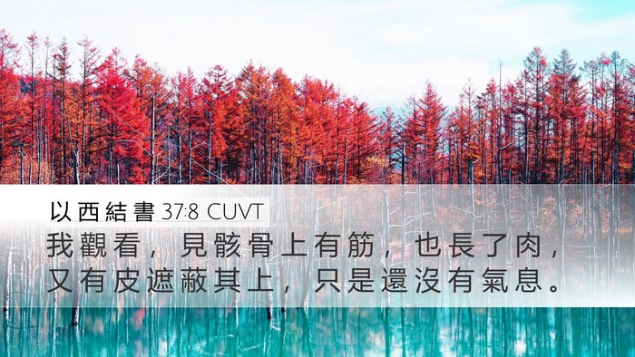 以 西 結 書 37:8 CUVT Desktop Wallpaper - 我 觀 看 ， 見 骸 骨 上 有 筋 ， 也 - Desktop Bible Verse Wallpaper