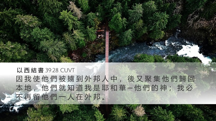 以 西 結 書 39:28 CUVT Bible Verse Image