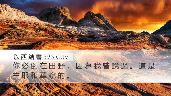 以 西 結 書 39:5 CUVT Desktop Wallpaper - 你 必 倒 在 田 野 ， 因 為 我 曾 說 - Desktop Bible Verse Wallpaper