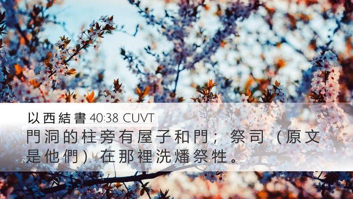 以 西 結 書 40:38 CUVT Bible Verse Image