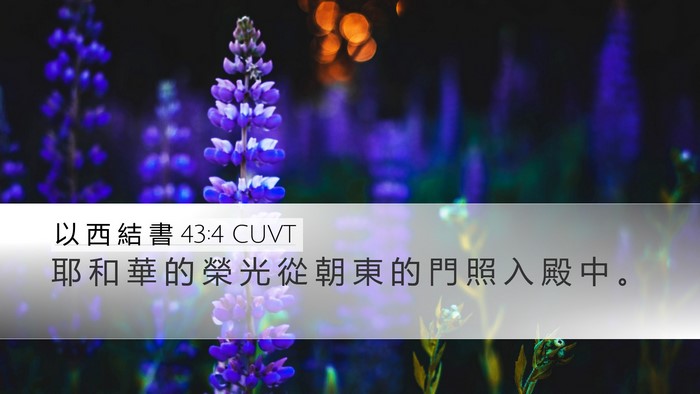 以 西 結 書 43:4 CUVT Bible Verse Image