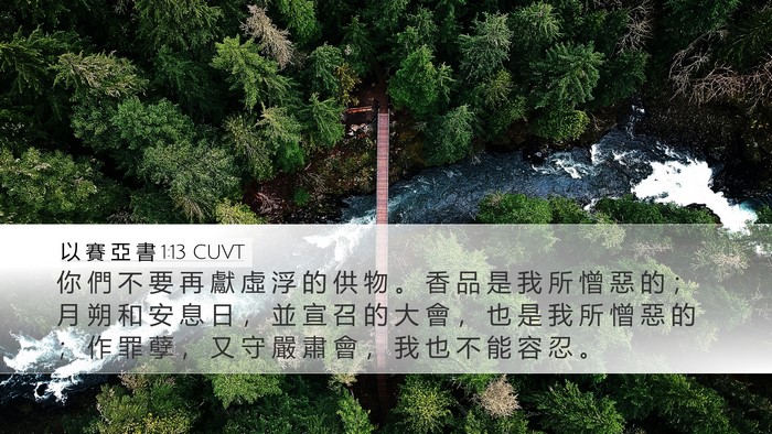 以 賽 亞 書 1:13 CUVT Bible Verse Image