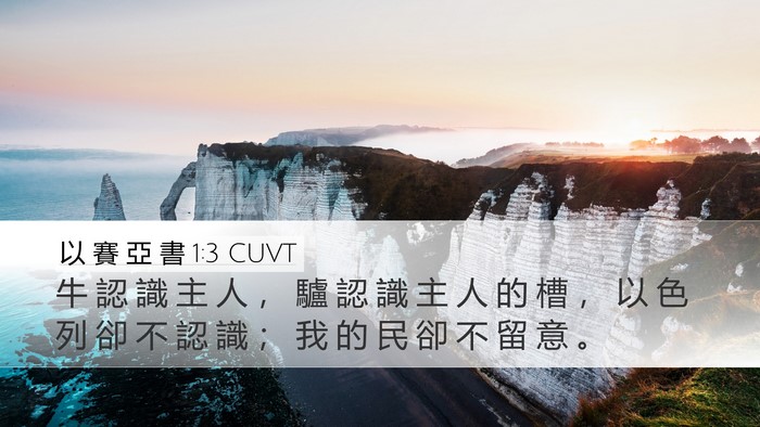 以 賽 亞 書 1:3 CUVT Bible Verse Image