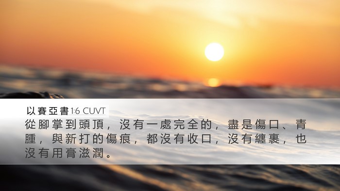 以 賽 亞 書 1:6 CUVT Bible Verse Image