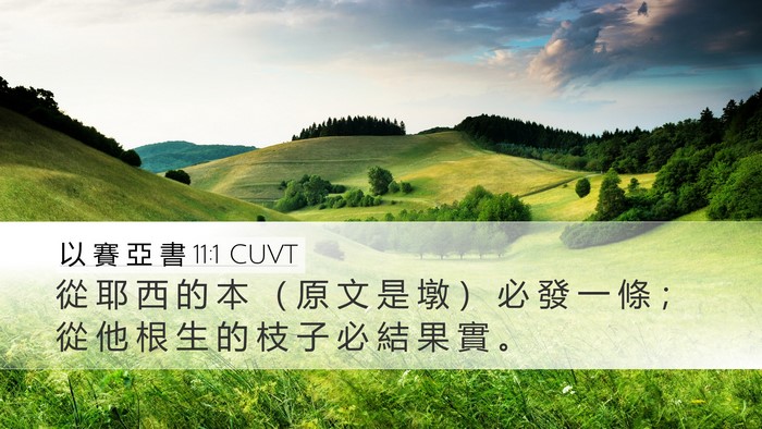以 賽 亞 書 11:1 CUVT Bible Verse Image