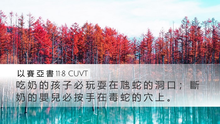 以 賽 亞 書 11:8 CUVT Bible Verse Image