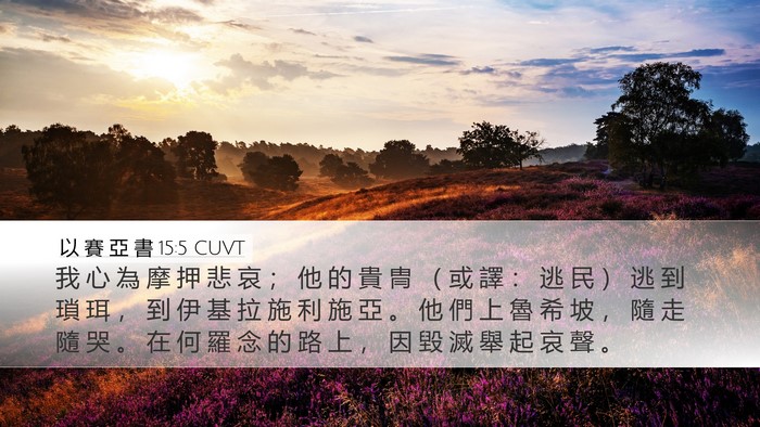 以 賽 亞 書 15:5 CUVT Bible Verse Image