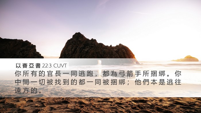 以 賽 亞 書 22:3 CUVT Bible Verse Image