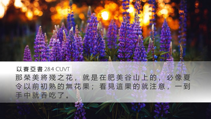 以 賽 亞 書 28:4 CUVT Bible Verse Image