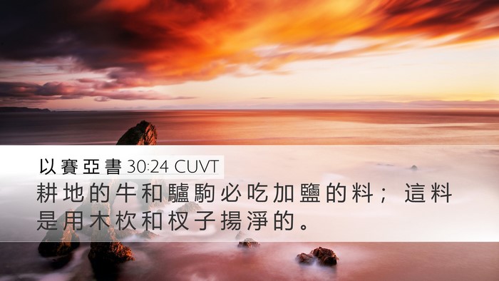 以 賽 亞 書 30:24 CUVT Desktop Wallpaper - 耕 地 的 牛 和 驢 駒 必 吃 加 鹽 的 - Desktop Bible Verse Wallpaper