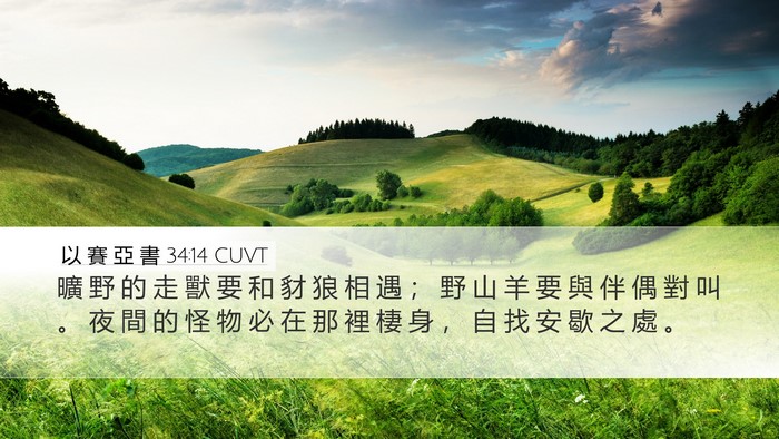 以 賽 亞 書 34:14 CUVT Desktop Wallpaper - 曠 野 的 走 獸 要 和 豺 狼 相 遇 ； - Desktop Bible Verse Wallpaper