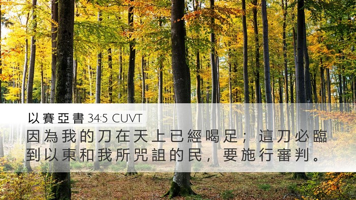 以 賽 亞 書 34:5 CUVT Bible Verse Image