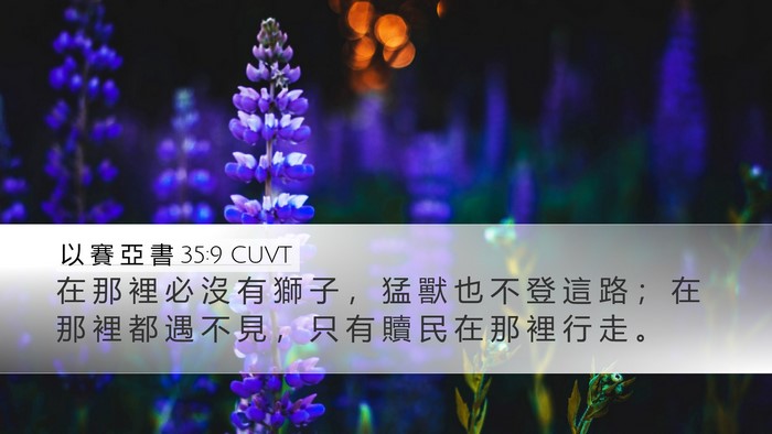 以 賽 亞 書 35:9 CUVT Bible Verse Image