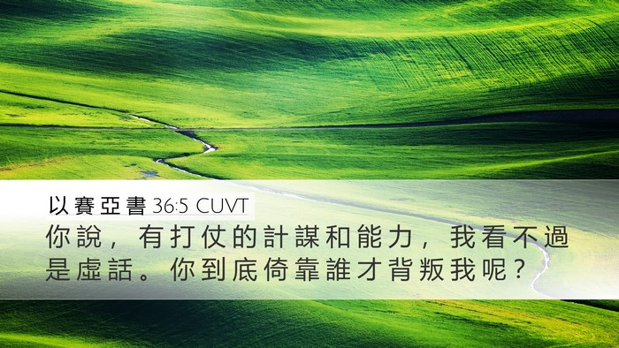 以 賽 亞 書 36:5 CUVT Desktop Wallpaper - 你 說 ， 有 打 仗 的 計 謀 和 能 力 - Desktop Bible Verse Wallpaper