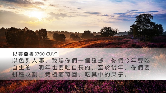 以 賽 亞 書 37:30 CUVT Bible Verse Image