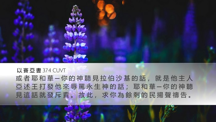 以 賽 亞 書 37:4 CUVT Bible Verse Image