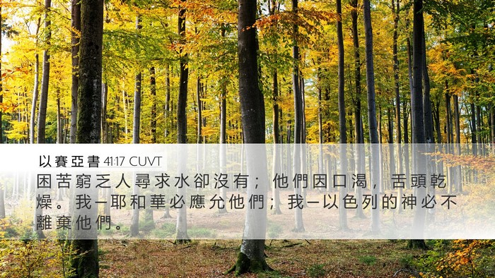 以 賽 亞 書 41:17 CUVT Bible Verse Image