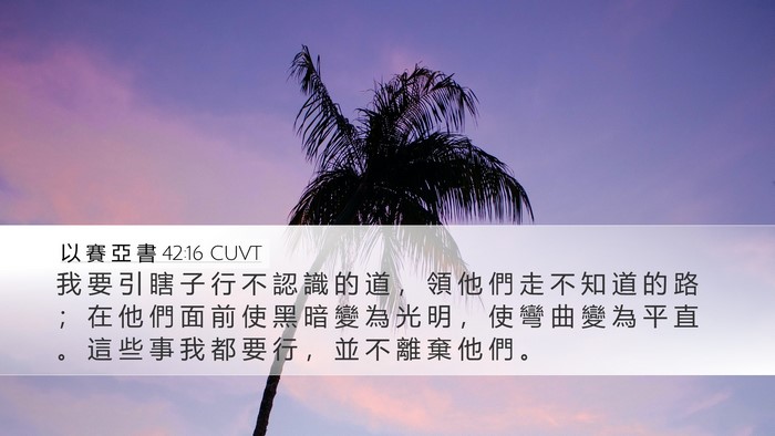 以 賽 亞 書 42:16 CUVT Bible Verse Image