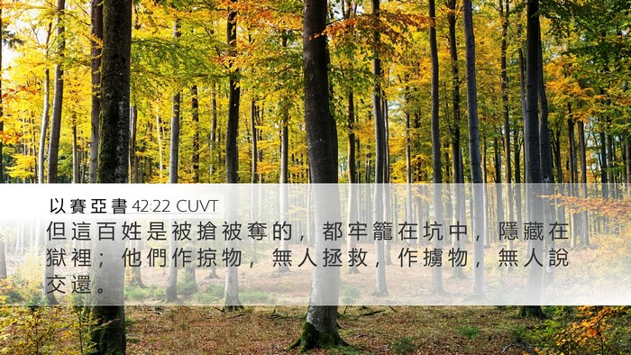 以 賽 亞 書 42:22 CUVT Bible Verse Image