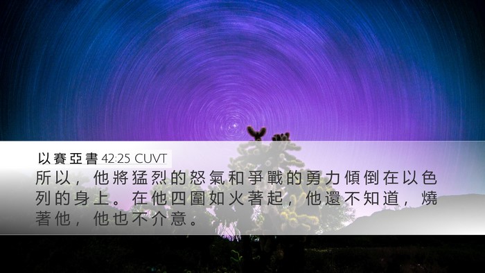 以 賽 亞 書 42:25 CUVT Bible Verse Image