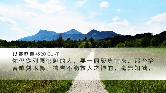 以 賽 亞 書 45:20 CUVT Bible Verse Image