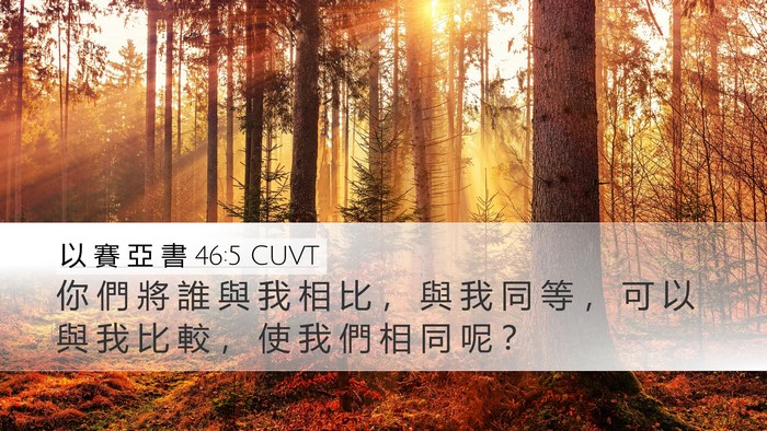 以 賽 亞 書 46:5 CUVT Bible Verse Image
