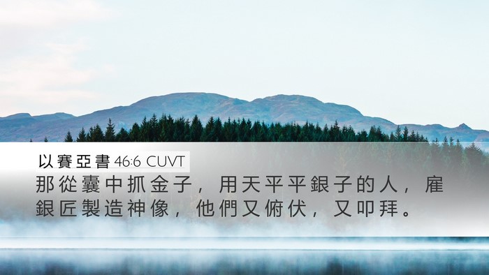 以 賽 亞 書 46:6 CUVT Bible Verse Image