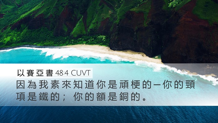 以 賽 亞 書 48:4 CUVT Bible Verse Image