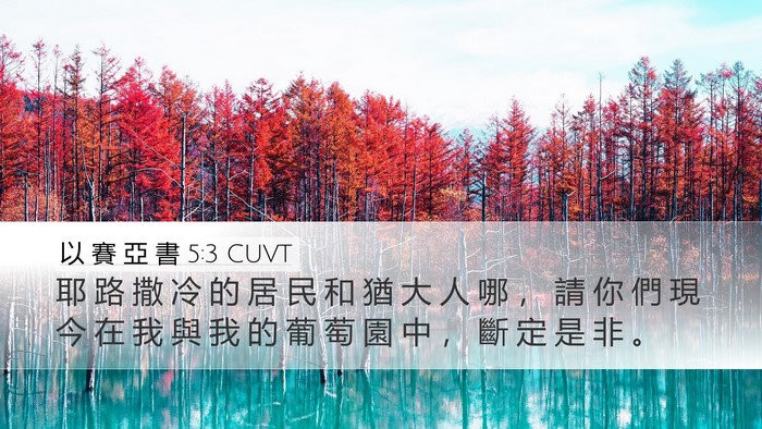 以 賽 亞 書 5:3 CUVT Bible Verse Image