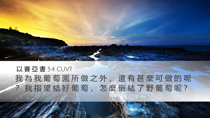 以 賽 亞 書 5:4 CUVT Bible Verse Image