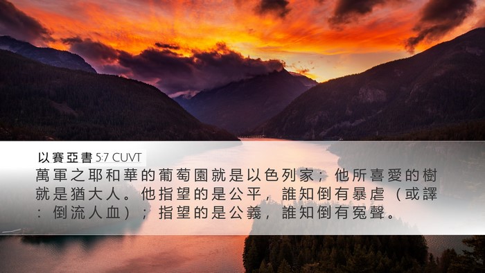 以 賽 亞 書 5:7 CUVT Bible Verse Image