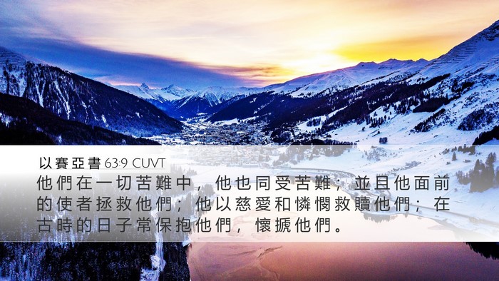 以 賽 亞 書 63:9 CUVT Bible Verse Image