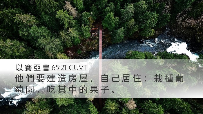 以 賽 亞 書 65:21 CUVT Bible Verse Image