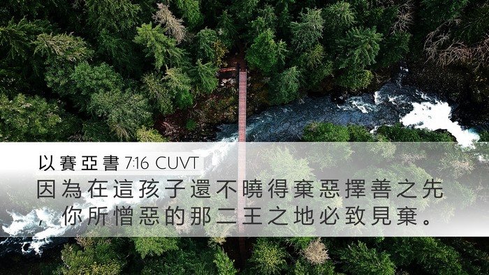 以 賽 亞 書 7:16 CUVT Bible Verse Image