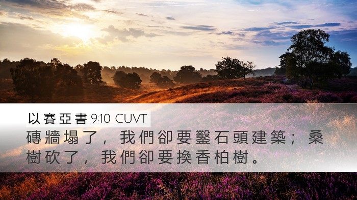 以 賽 亞 書 9:10 CUVT Bible Verse Image