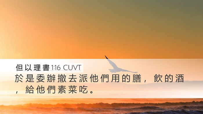 但 以 理 書 1:16 CUVT Desktop Wallpaper - 於 是 委 辦 撤 去 派 他 們 用 的 膳 - Desktop Bible Verse Wallpaper