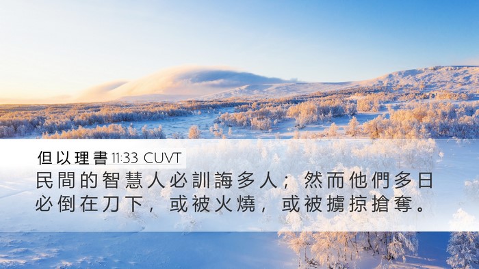 但 以 理 書 11:33 CUVT Bible Verse Image