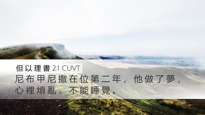 但 以 理 書 2:1 CUVT Bible Verse Image